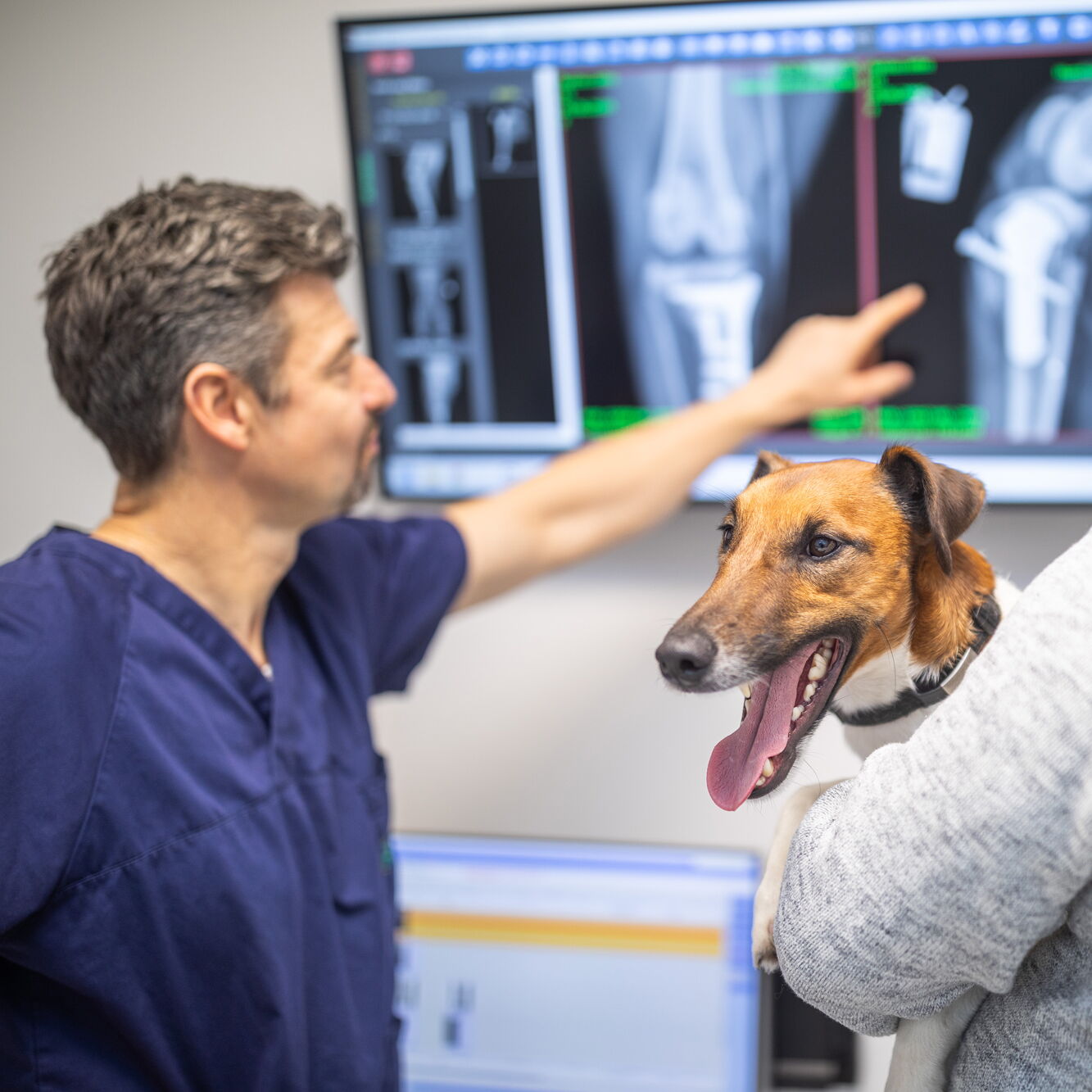 Dr. Med. Vet. Wolf Kaser Bergisch Gladbach Referenzen - Derungs Licht AG